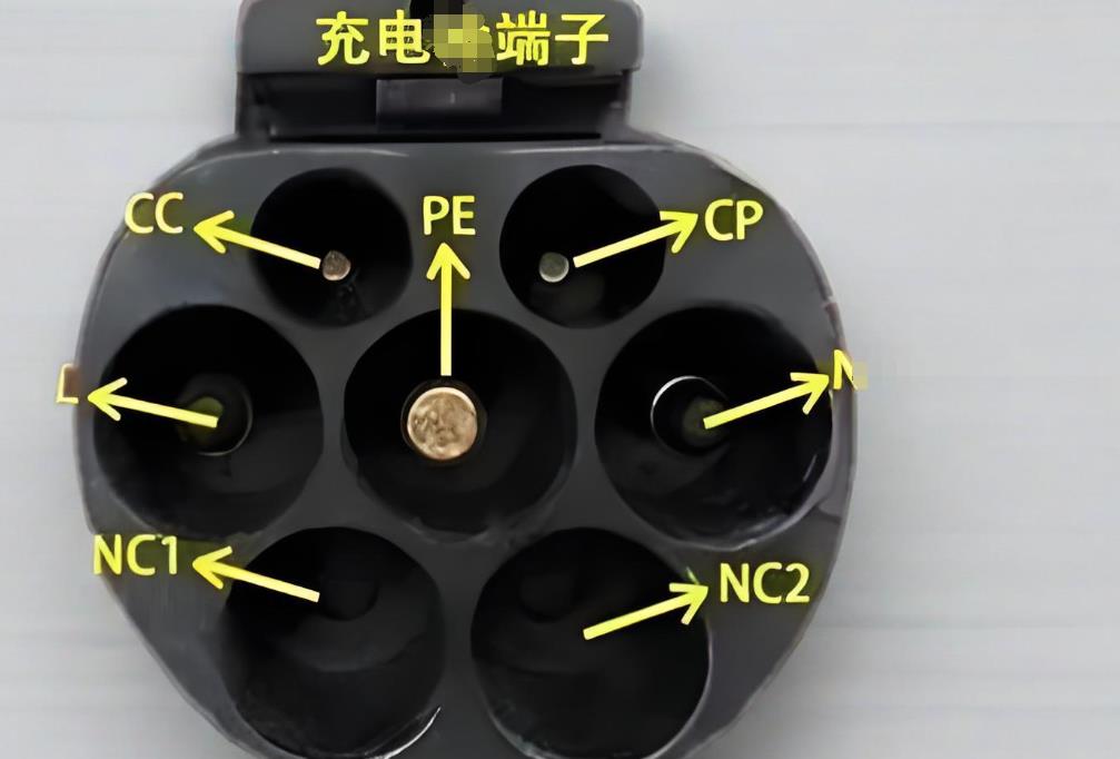 超级充电站实景图